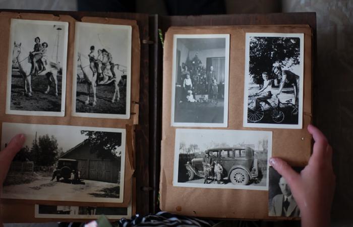 Image Gallery